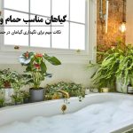 ۳۱ تا از بهترین گیاهان مناسب سرویس بهداشتی و حمام
